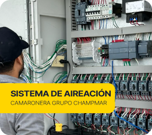 SISTEMA DE AIREACIÓN